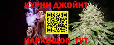 крисы Жуковский