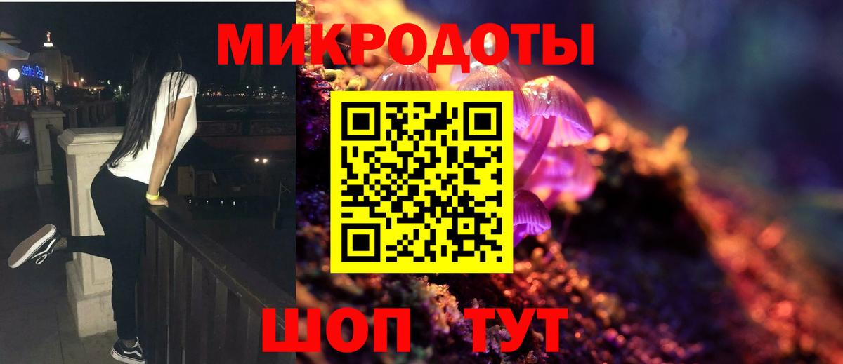 купить наркотики цена  Назрань  Псилоцибиновые грибы Cubensis 