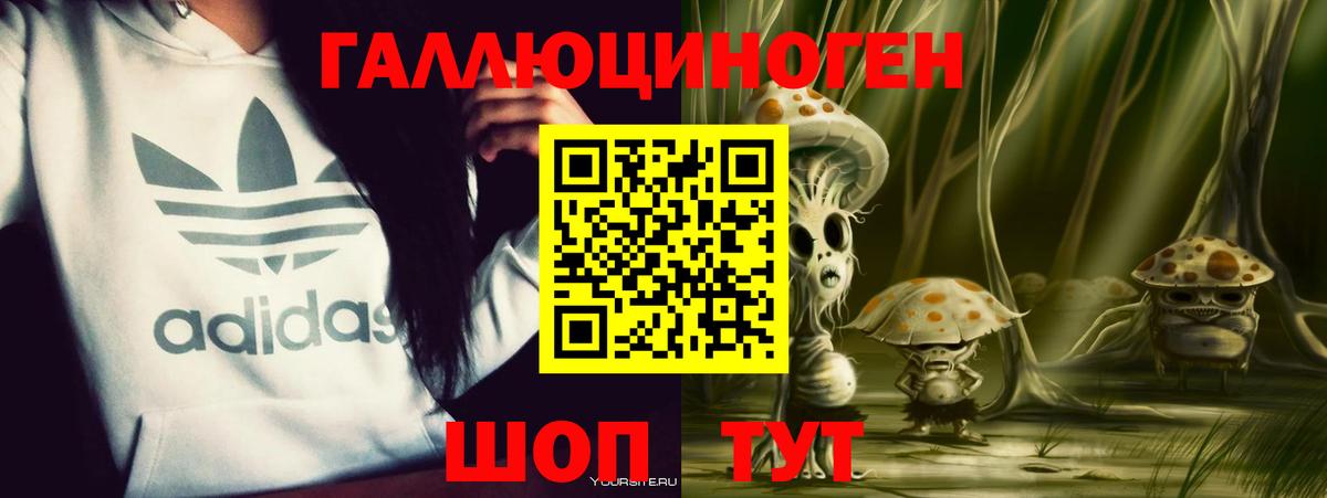 Назрань  Галлюциногенные грибы MAGIC MUSHROOMS  Вход с VPN 
